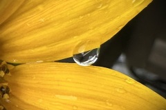 IMG_1771